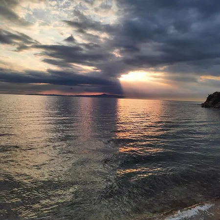Nihalimo'nun Yeri Akvaryum Ev *