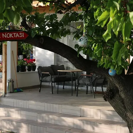 Nihalimo'nun Yeri Akvaryum Ev *